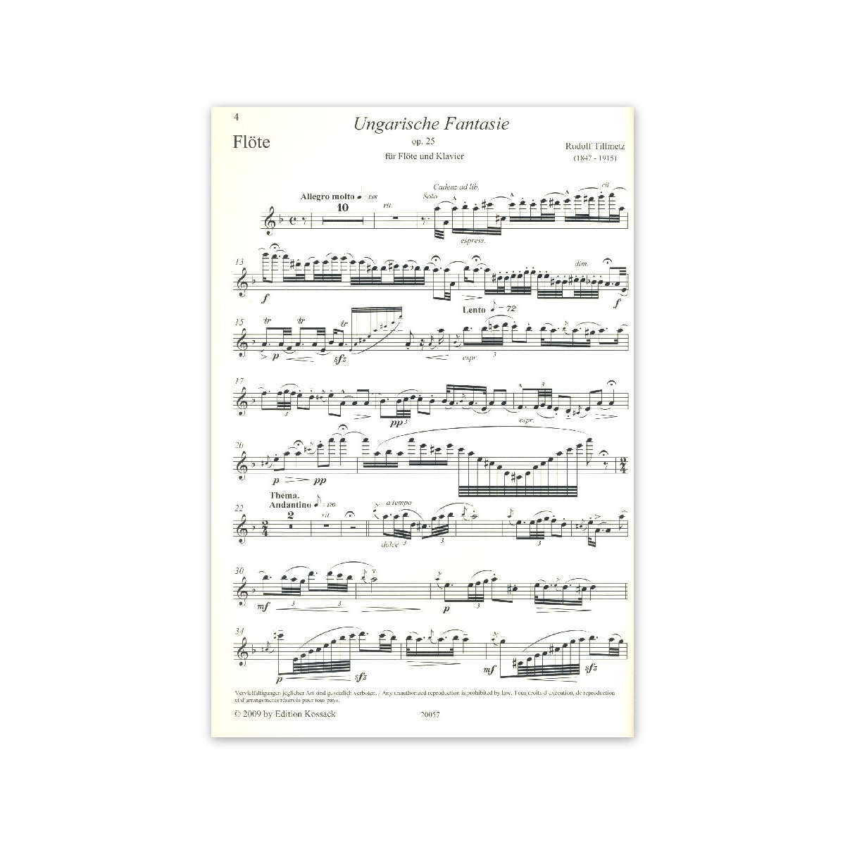 Tillmetz, Ungarische Fantasie op.25