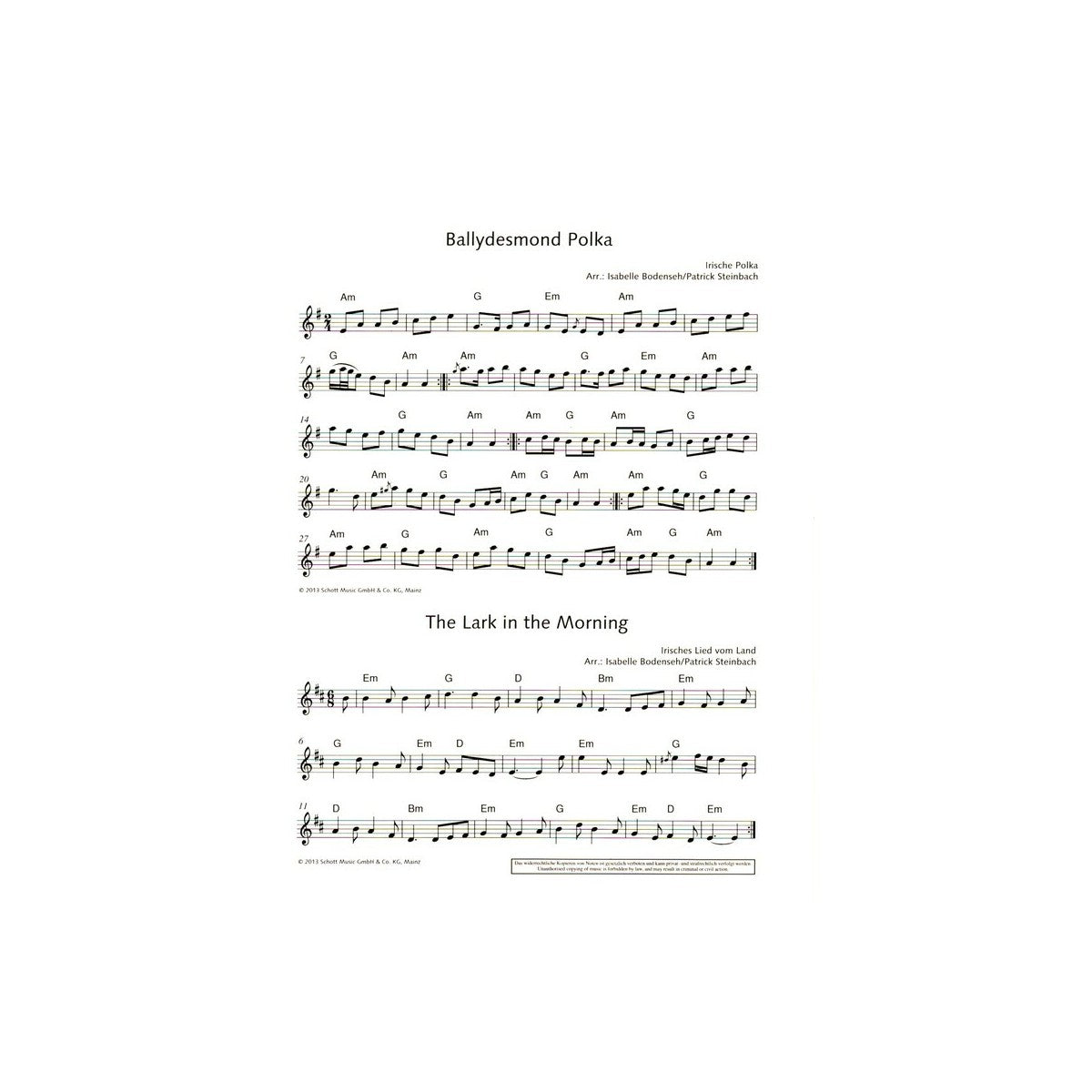The Irish Flute Book View 2