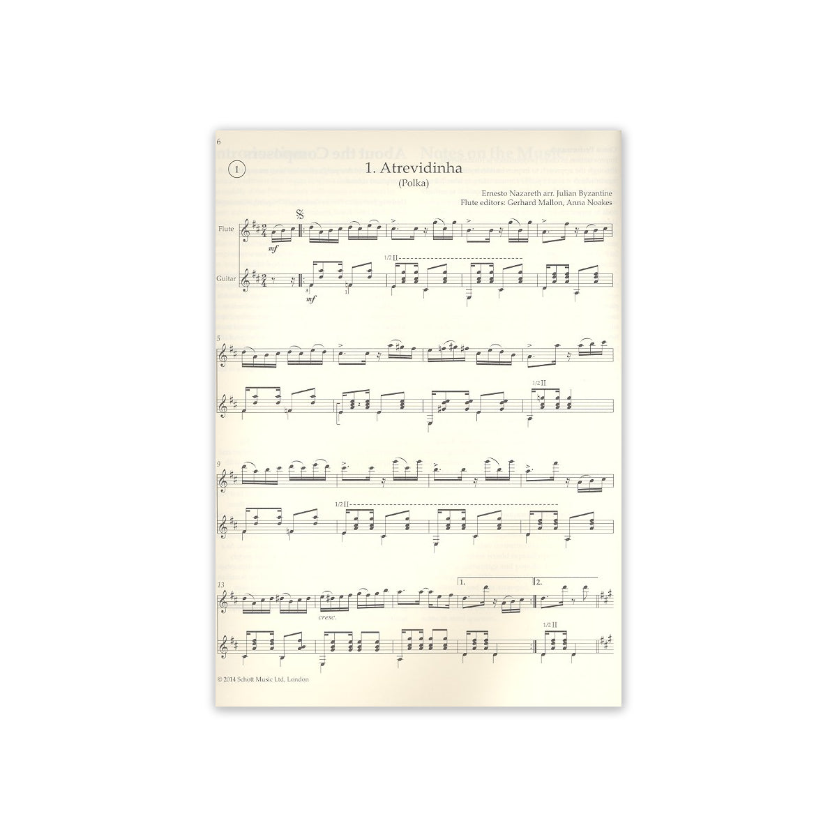 Brazilian Folk Tunes View 1