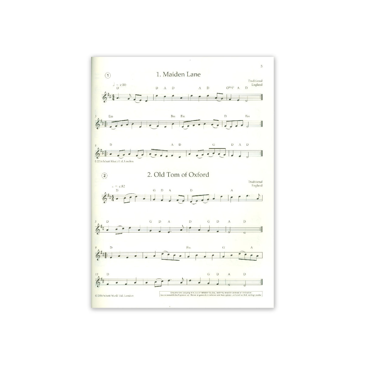Easy Folk Recorder View 1