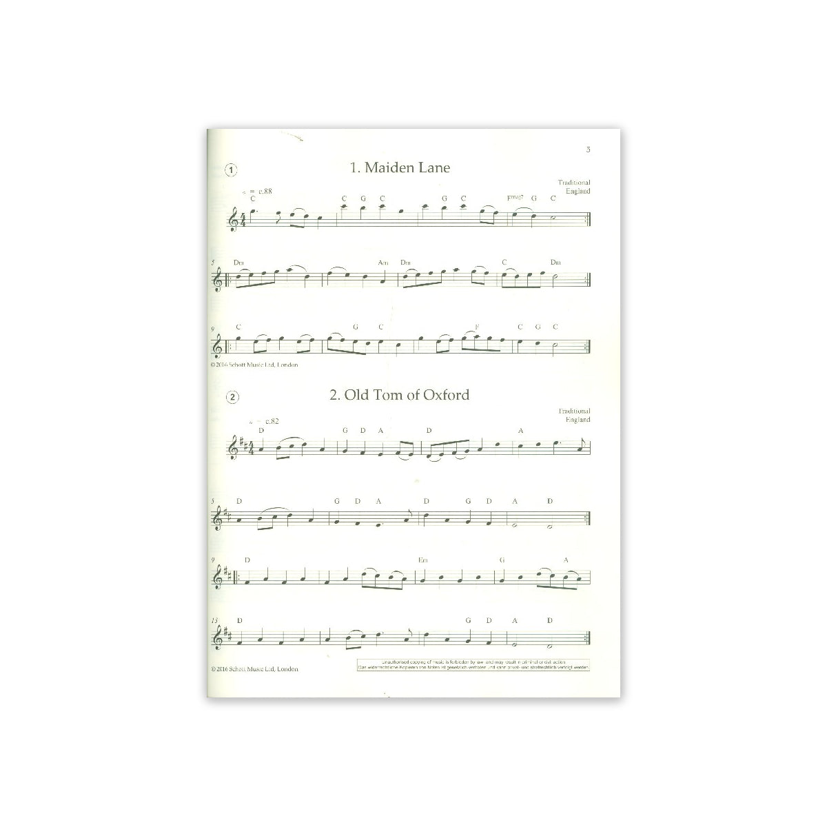 Easy Folk Flute View 1