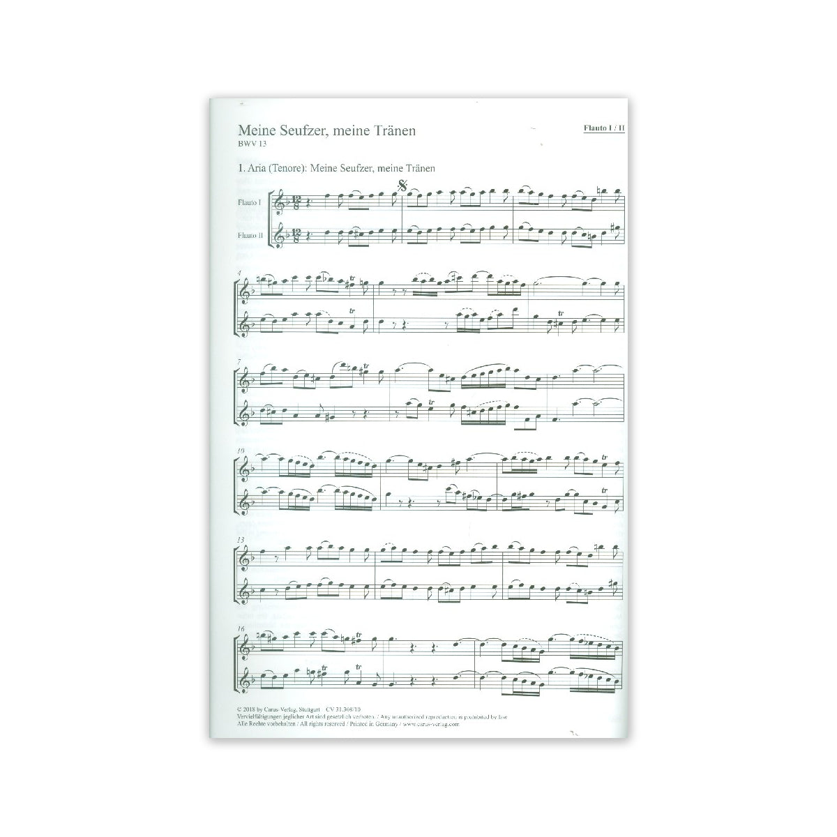 Bach, Die Blockflötenpartien der Vokalwerke View 1