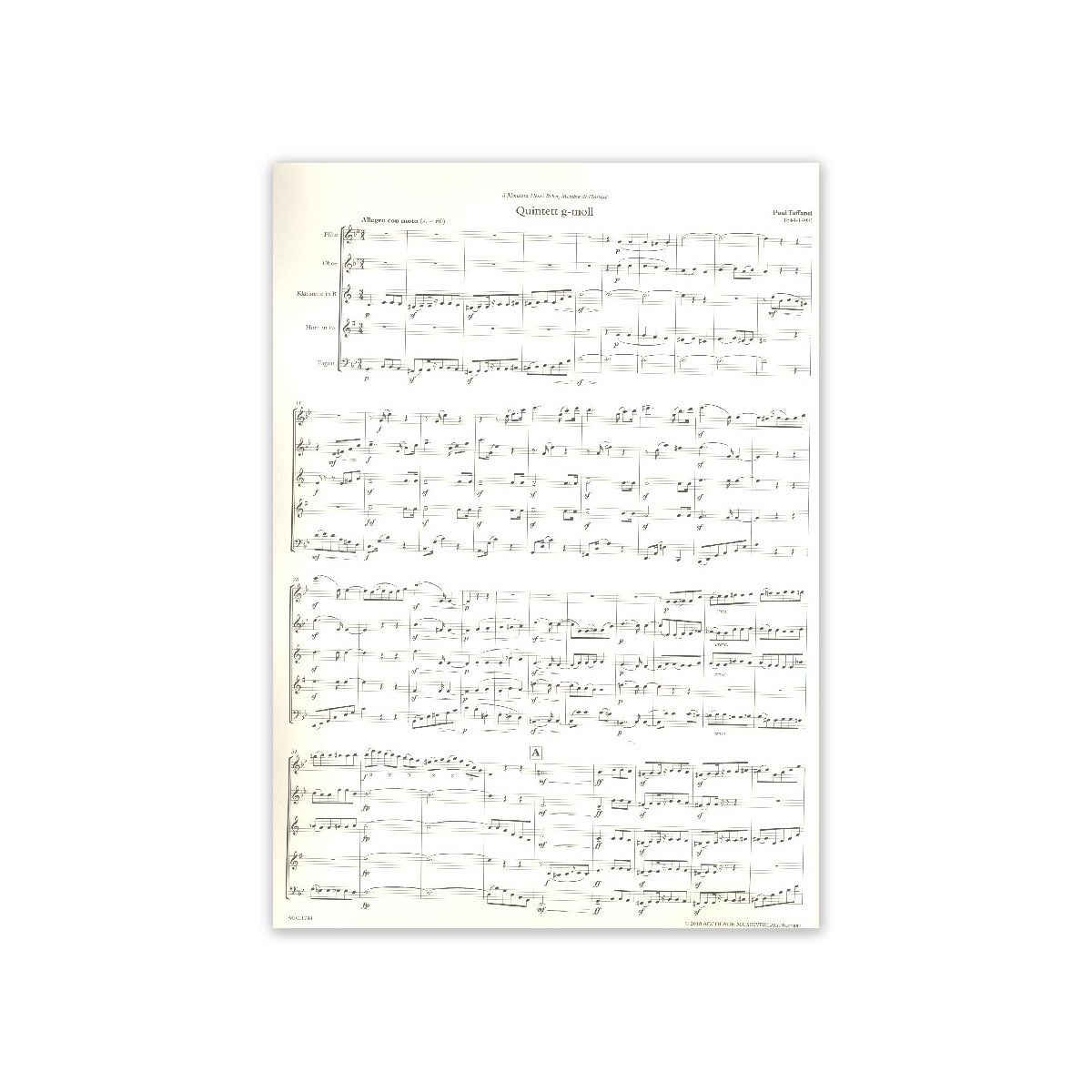 Taffanel, Quintett g-Moll View 1