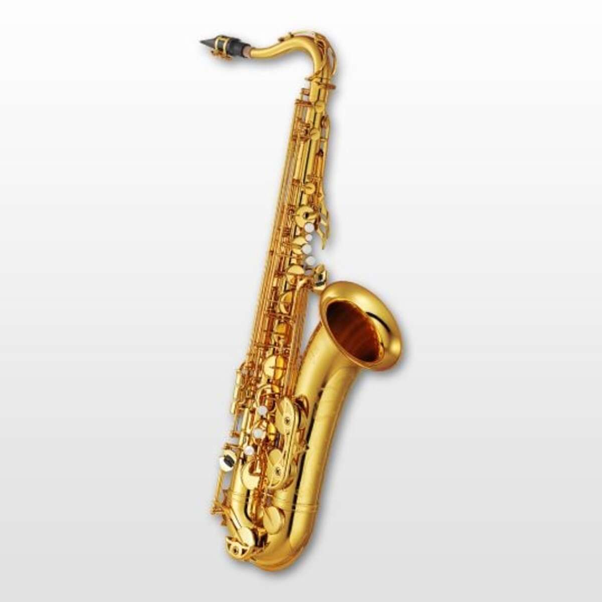 Yamaha YBS-62 Saxophon View 2