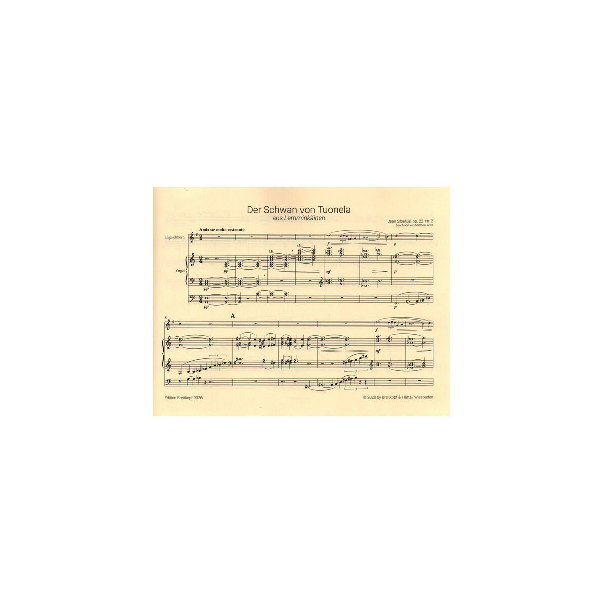 Sibelius, Der Schwan von Tuonela op.22,2 View 1
