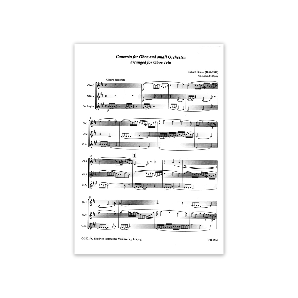 Strauss, Konzert D-Dur View 2