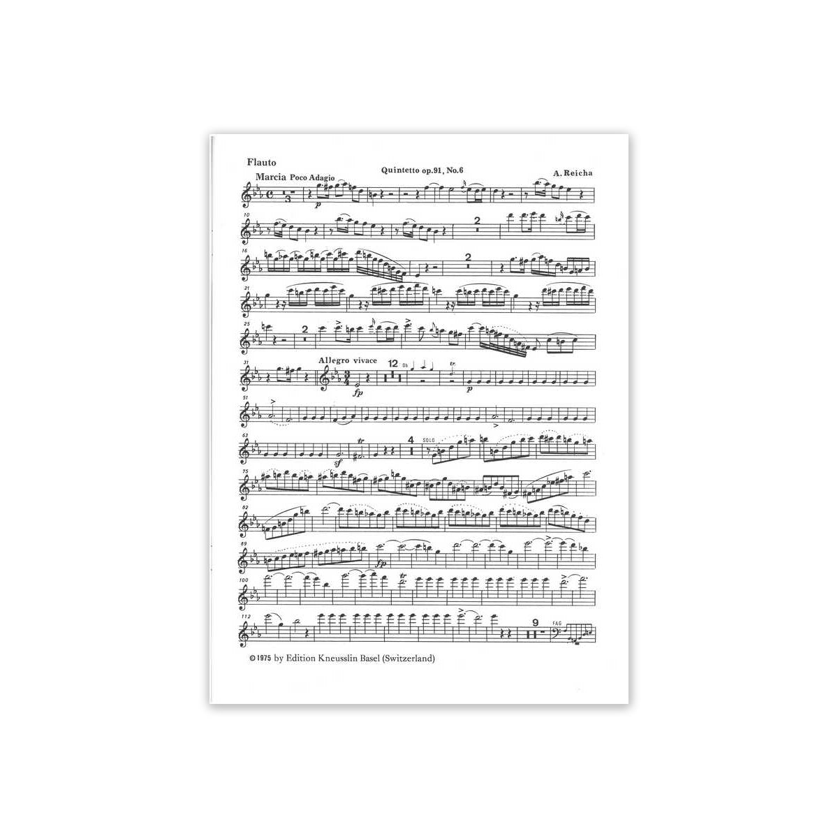 Reicha, Quintett c-Moll op.91,6 View 2