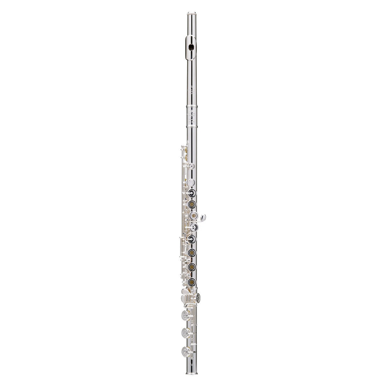 Silberkopl Te Powell Sonar 505