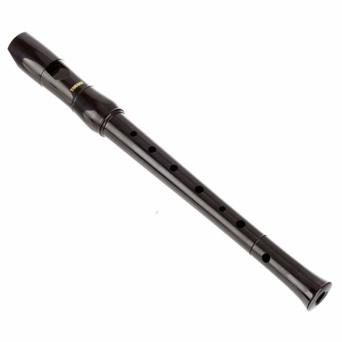 Yamaha YRN-21 View 1