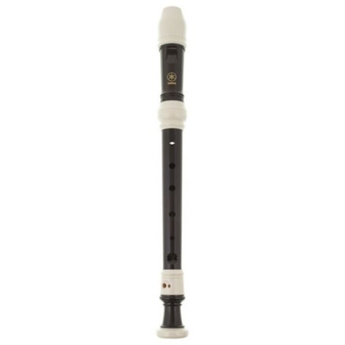 Yamaha YRS-31 View 2