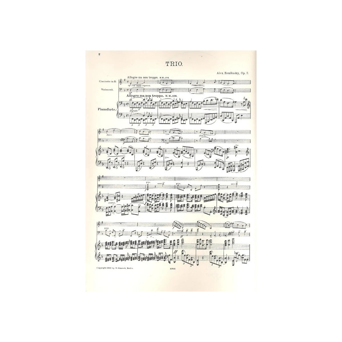 Zemlinsky, Trio op.3 d-Moll View 1