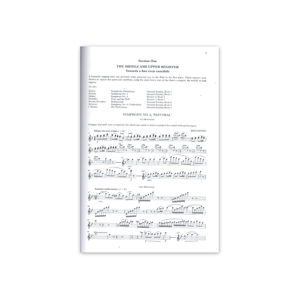 Wye/Morris, Orchestral flute practice book 2