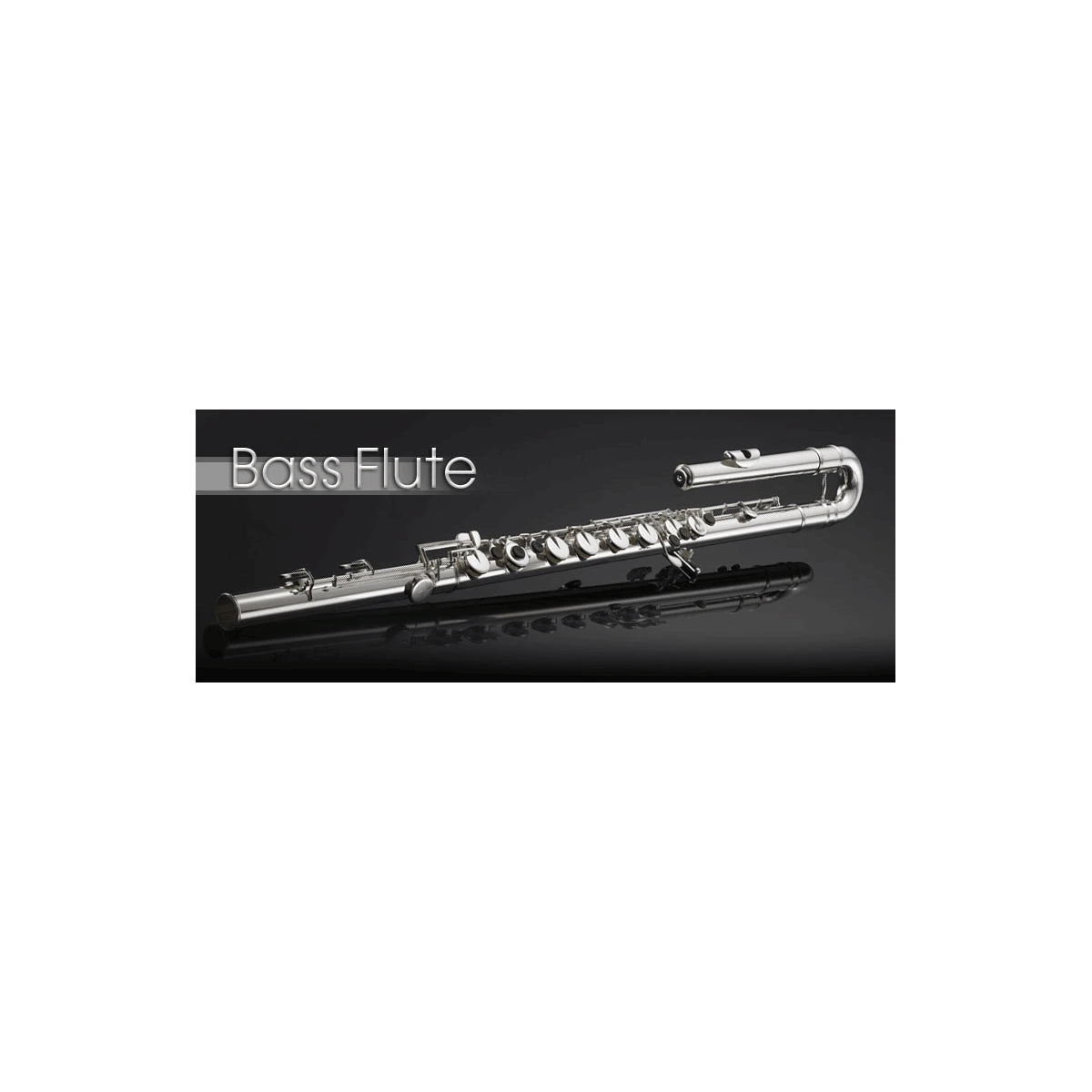 BASSFLÖTE PEARL 305 NEUSILBER/VERSILBERT View 1