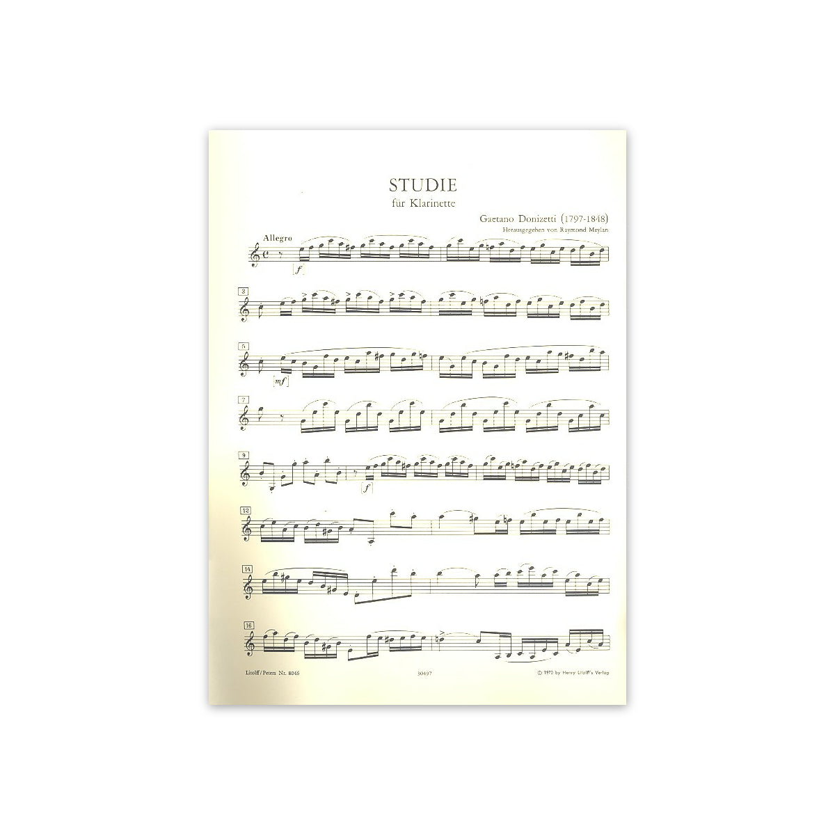 Donizetti, Studie