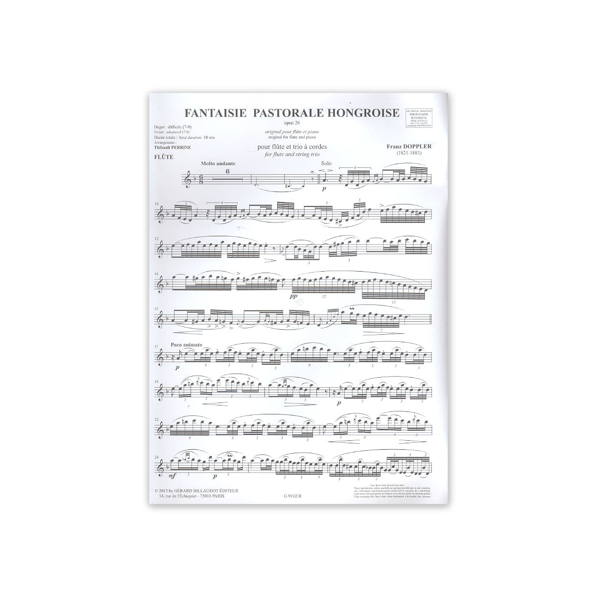 Doppler, Fantaisie pastorale hongroise op.26