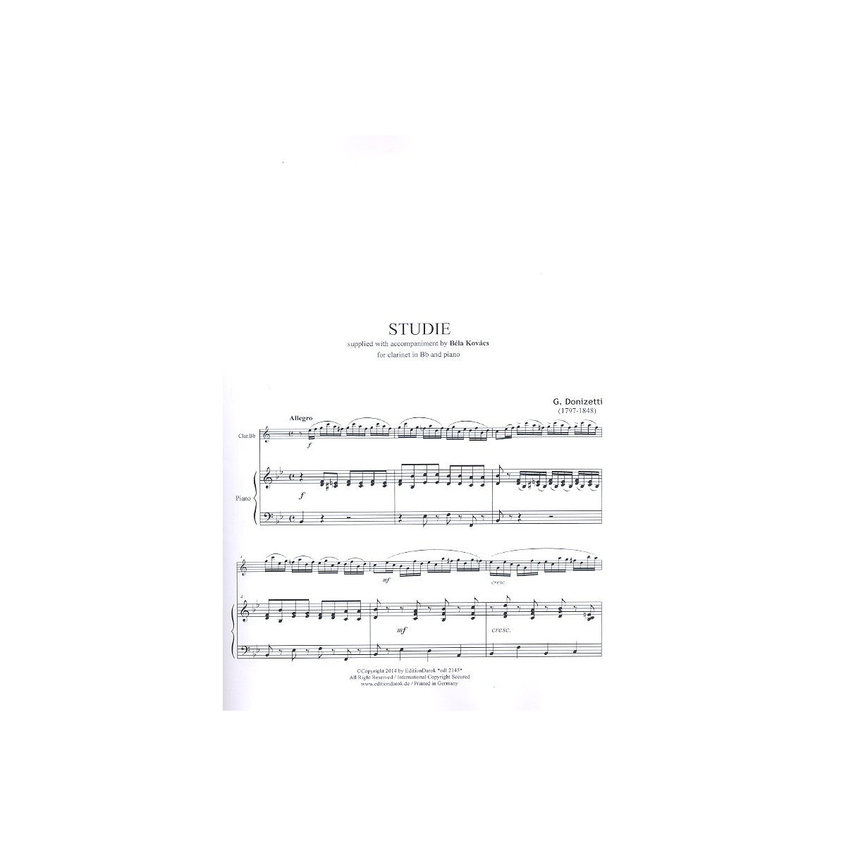 Donizetti, Studie-34022 View 2