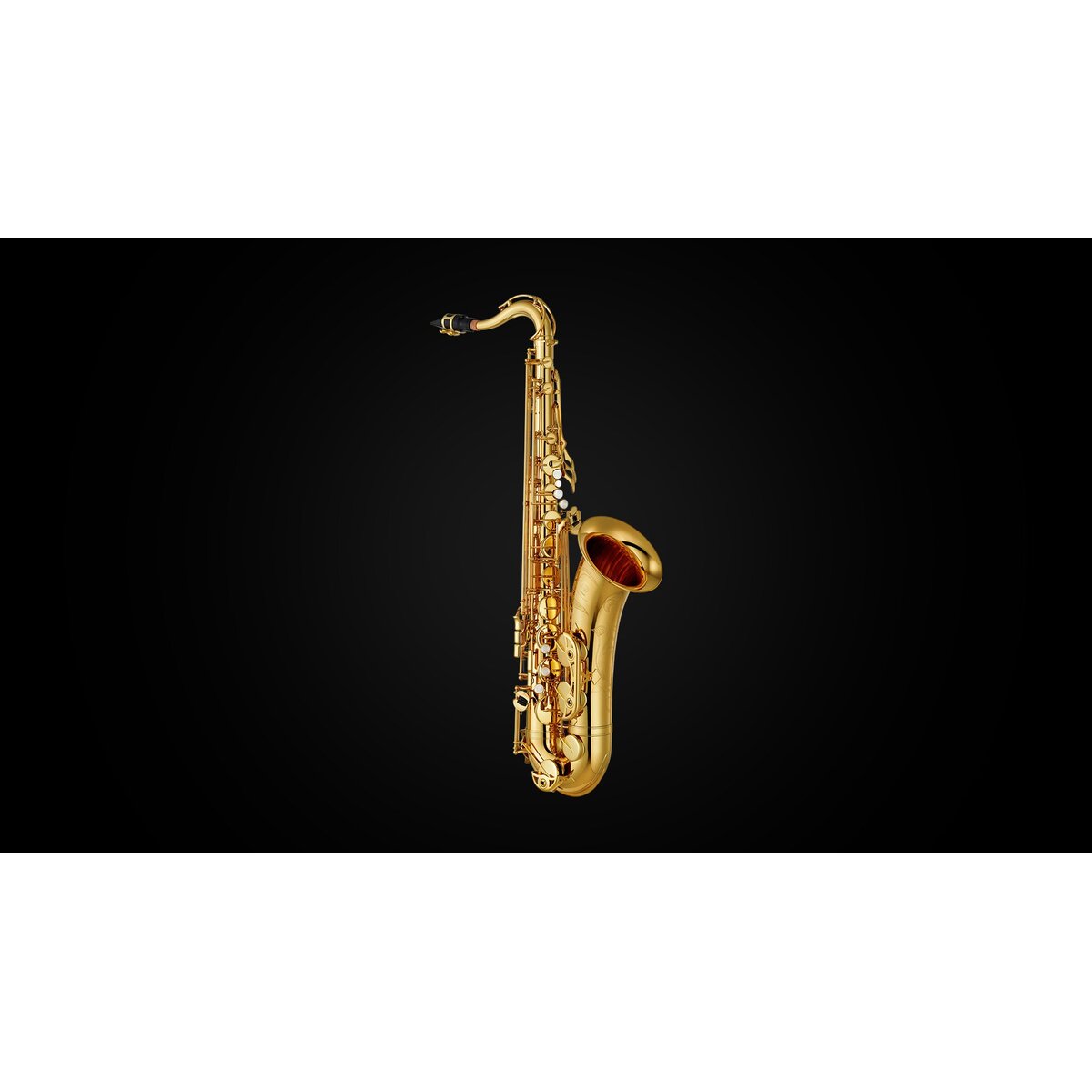 Yamaha YTS-480S Saxophon View 1