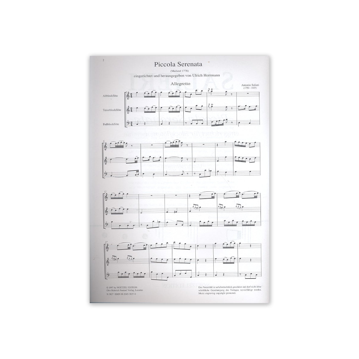 Salieri, Piccola serenata View 1
