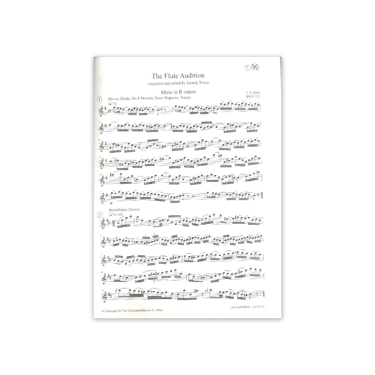 The Flute Audition - Probespielstellen View 1