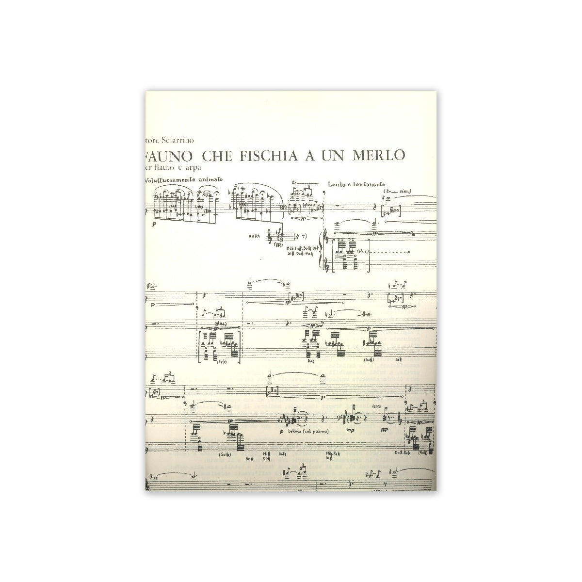 Sciarrino, Fauno Che Fischia A Un Merlo View 1