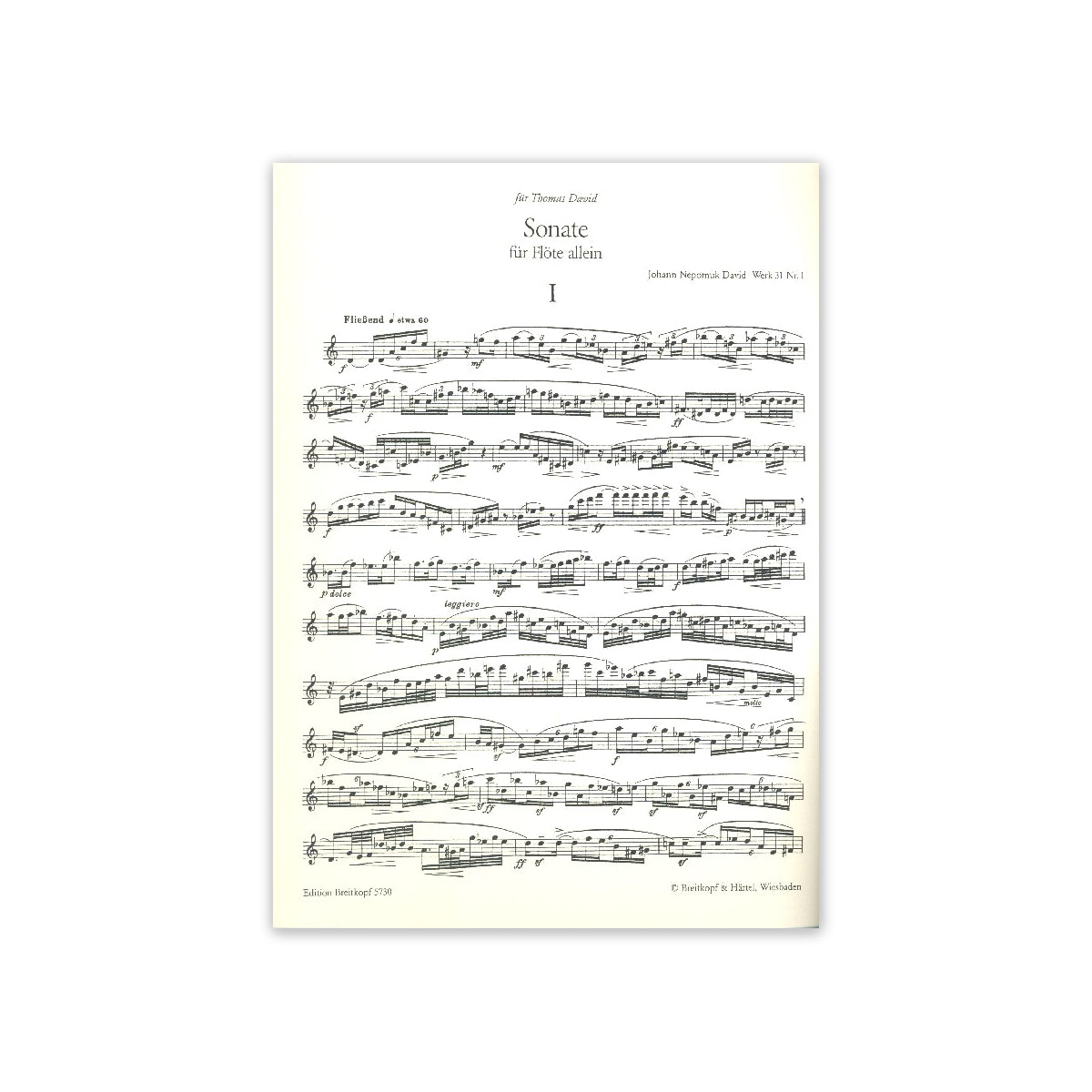David, Sonate View 1