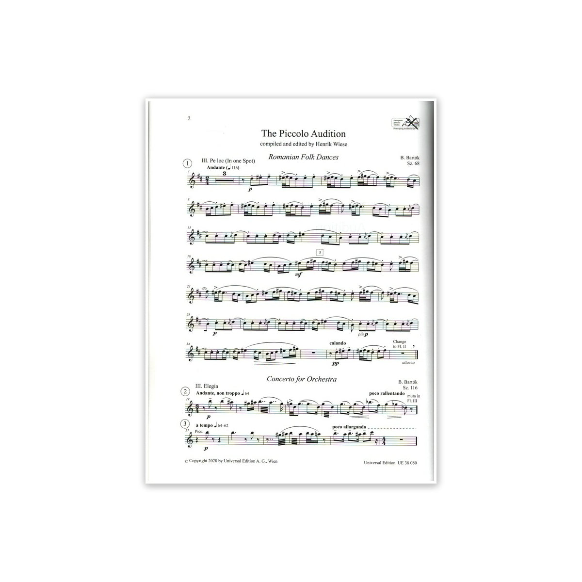 The Piccolo & Alto Flute Audition View 2