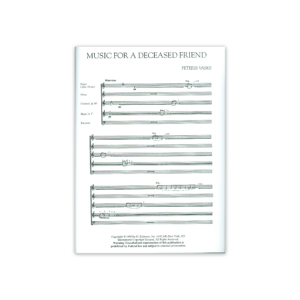 Vasks, Music for a deceased Friend View 2