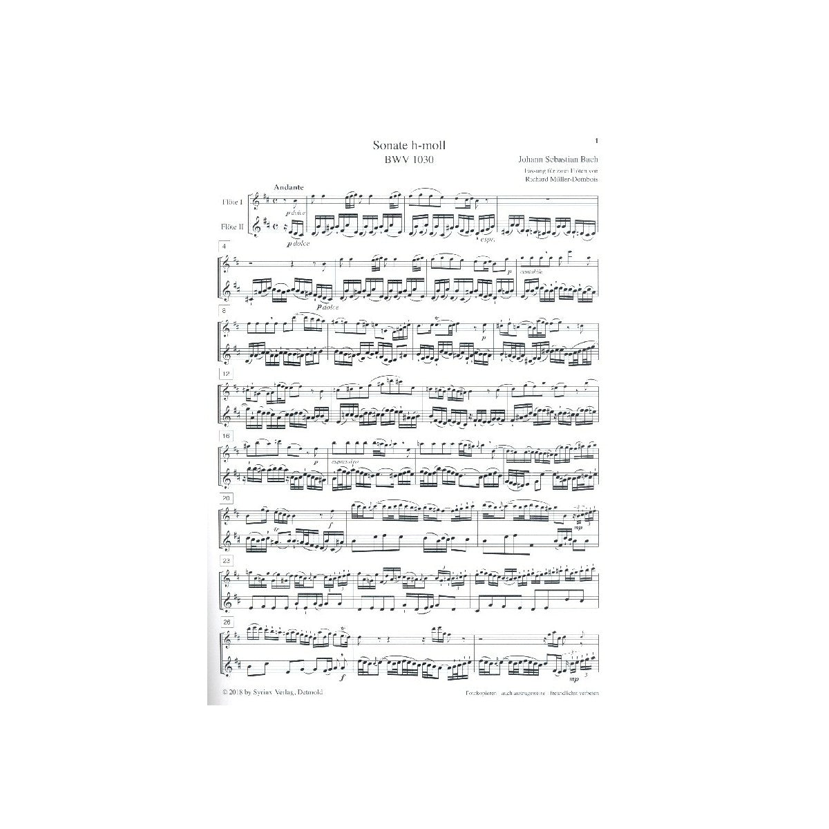 Bach, Sonate h-moll BWV1030 View 1