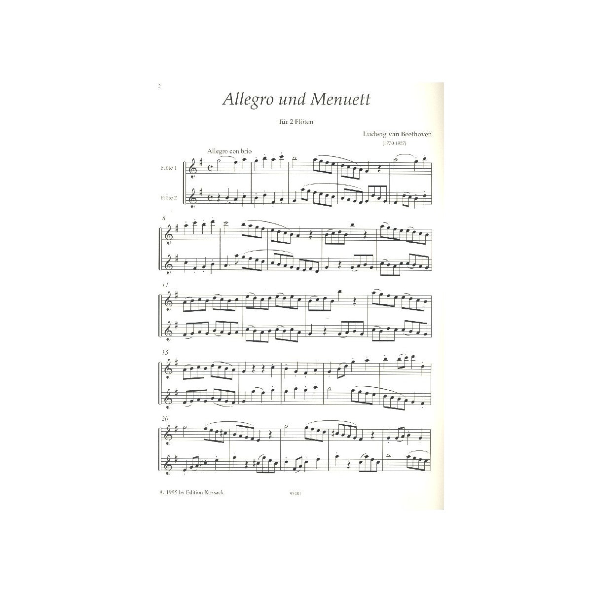 Beethoven, Allegro und Menuett View 1
