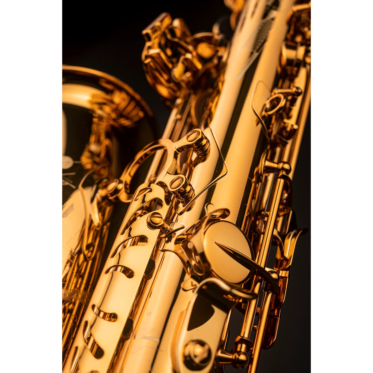 ALTO SAXOPHONE SELMER SIGNATURE