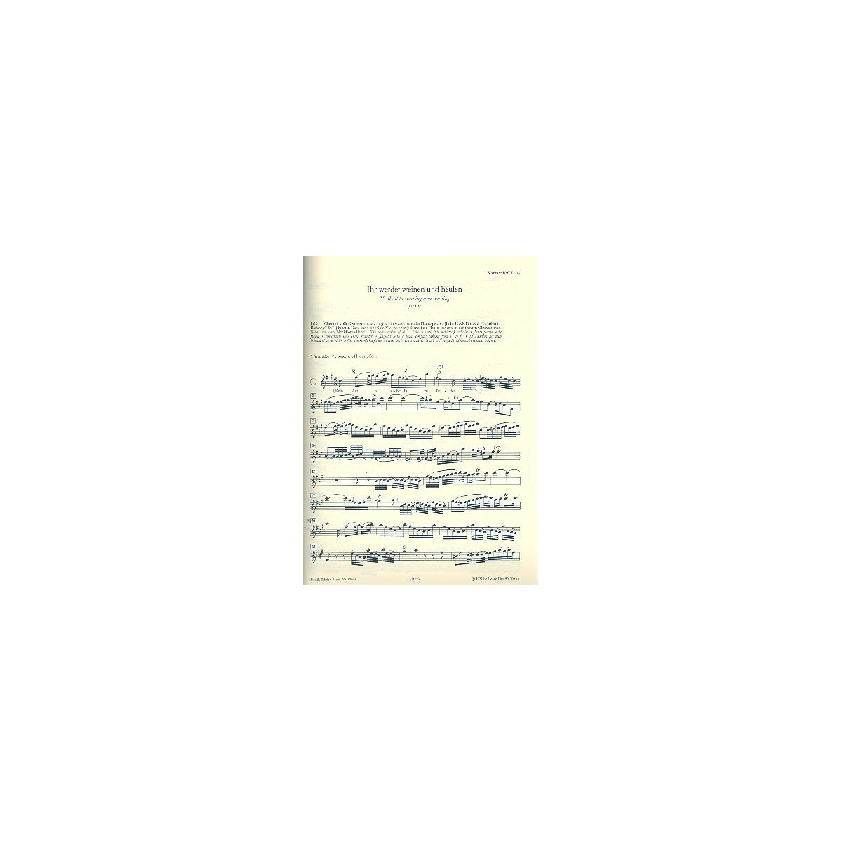 Bach, Flötenrepertoire 2