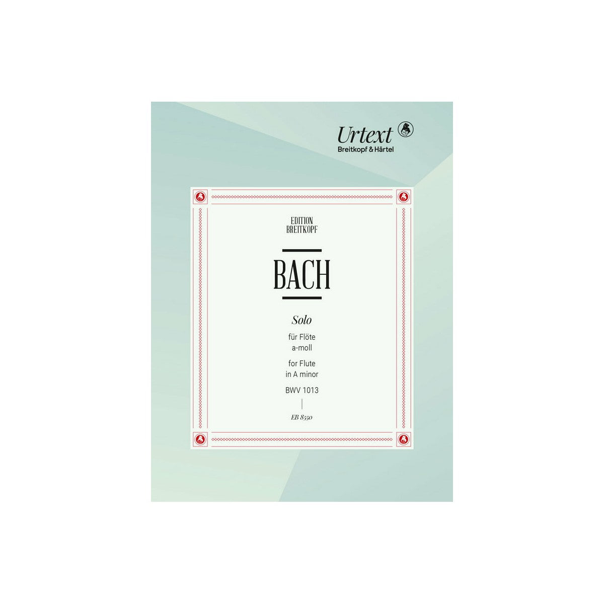 Bach, Solo A-Moll BWV1013 View 2