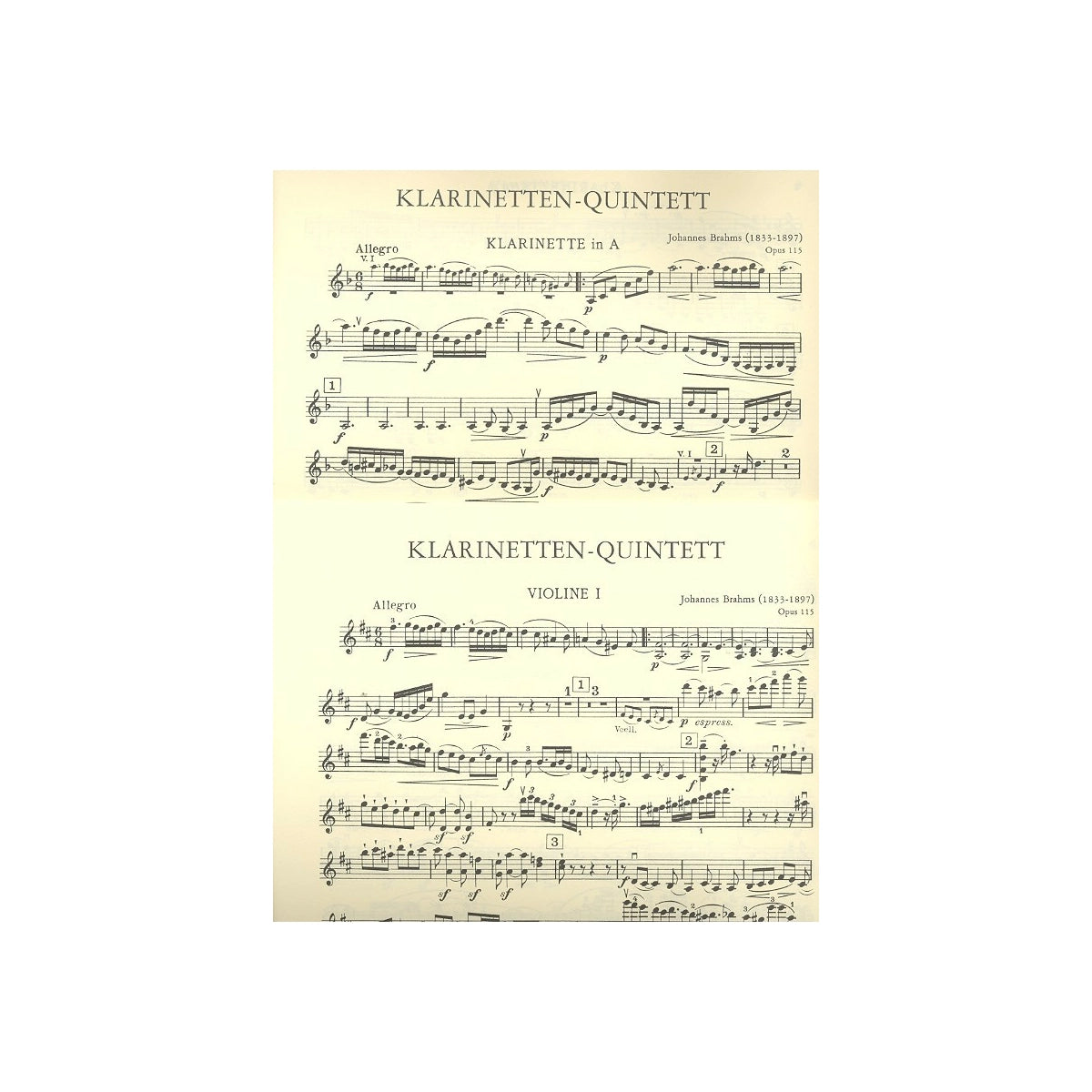 Brahms, Quintett h-moll op.115 View 1