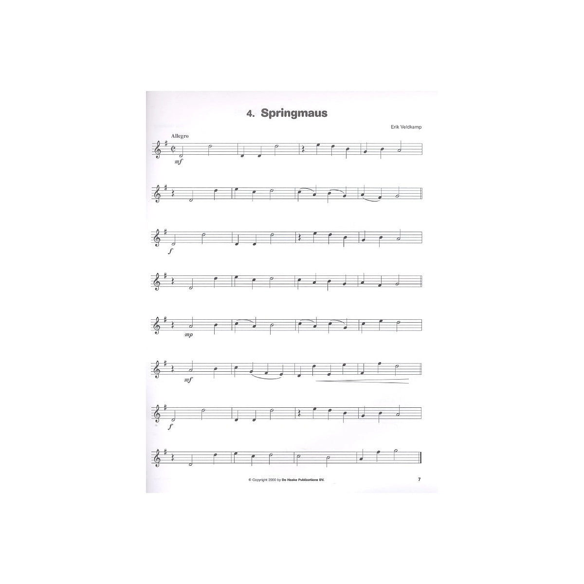 Solo - Spielbuch