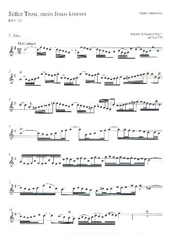 Bach, Süßer Trost mein Jesus kömmt BWV151