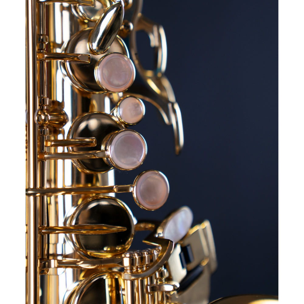 ALTSAXOPHON SELMER SA 80 II GOLDLACK