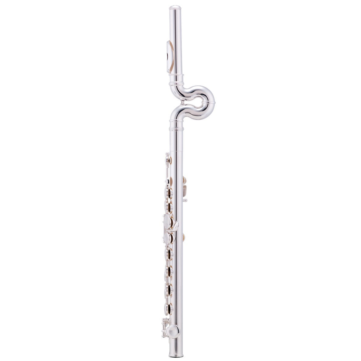 Fl Te Jupiter Wave Line D Loop 700Wd.Jpg