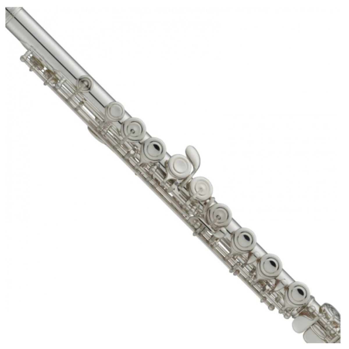 Silberkopl Te Yamaha 312 1