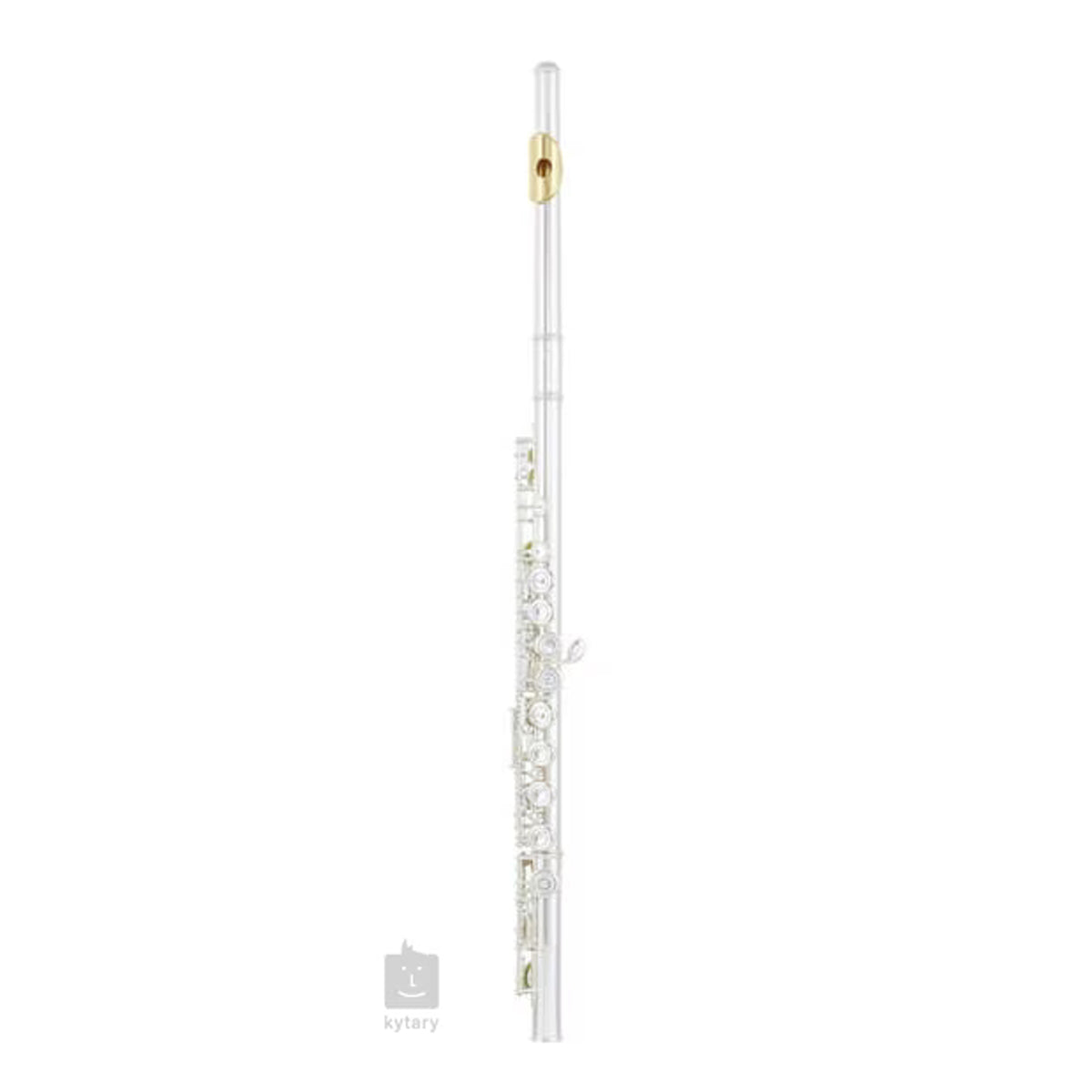 Silberkopl Te Yamaha 312Gl Vergold Platt